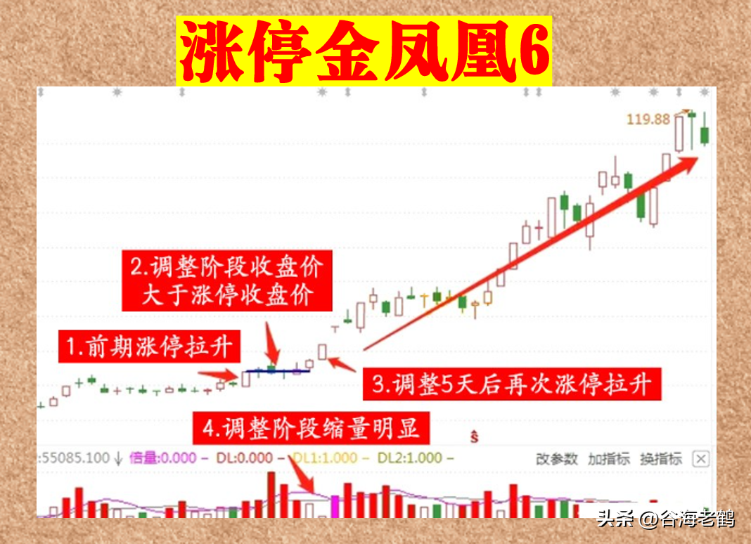 涨停金凤凰