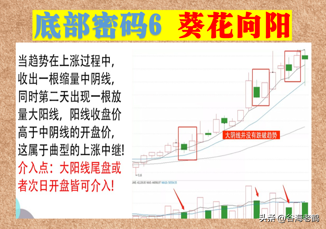 12招底部密码