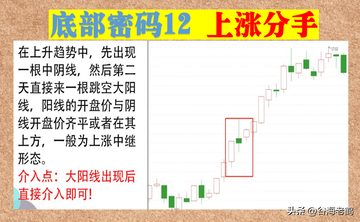 12招底部密码