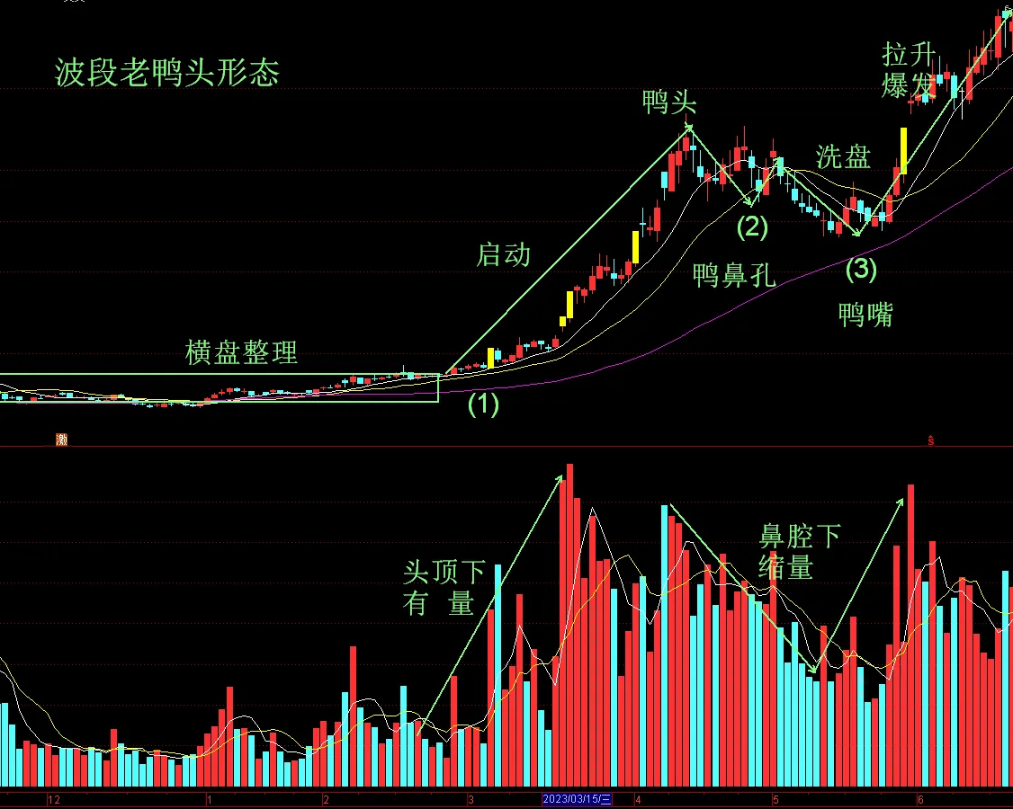 波段老鸭头战法