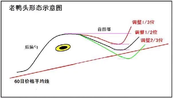 波段老鸭头战法