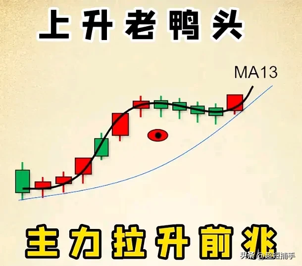 “老鸭头”形态