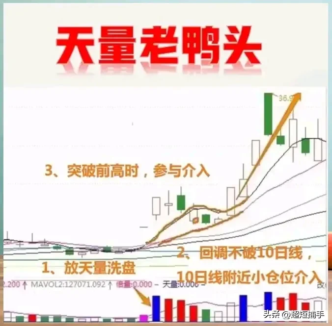 “老鸭头”形态