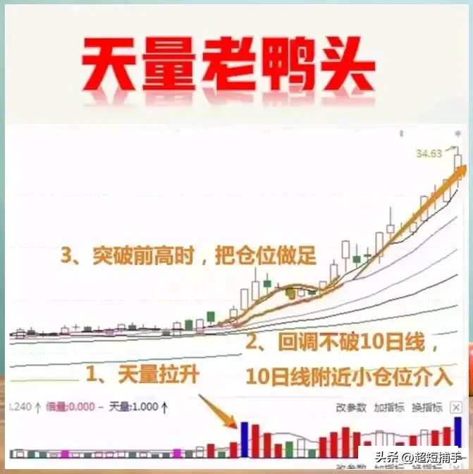 “老鸭头”形态