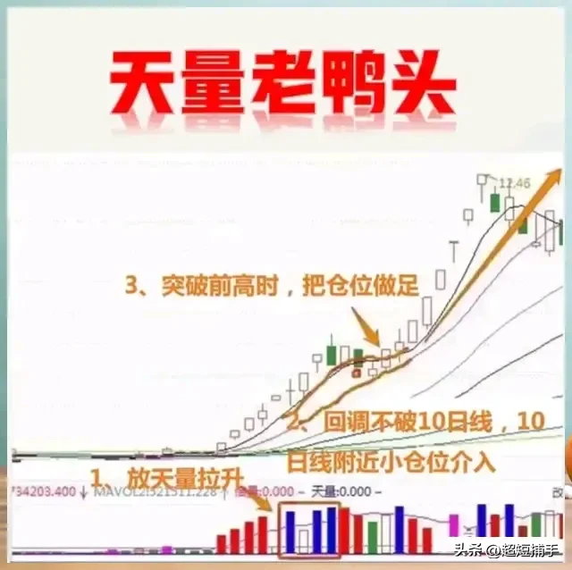 “老鸭头”形态