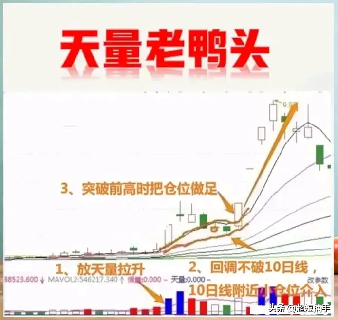 “老鸭头”形态