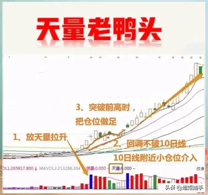 “老鸭头”形态
