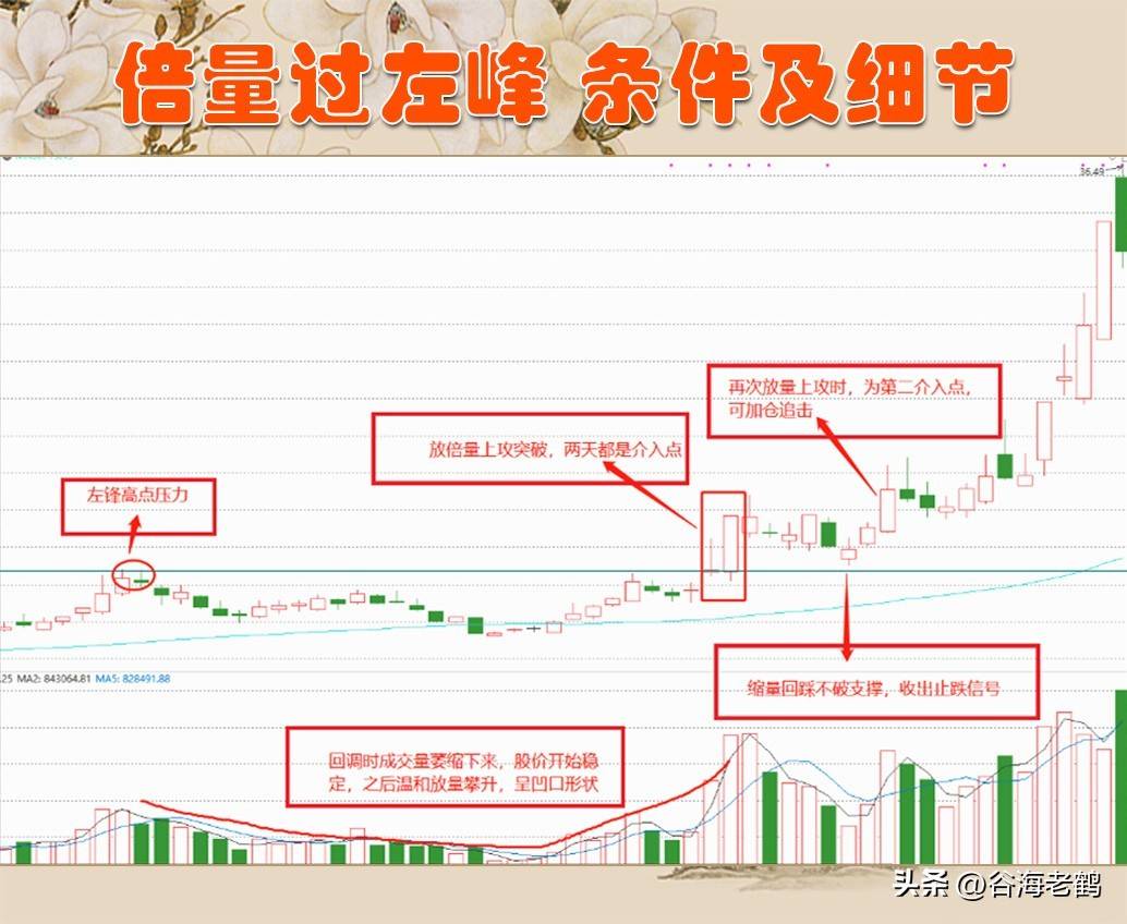 倍量过左峰，张停急先锋
