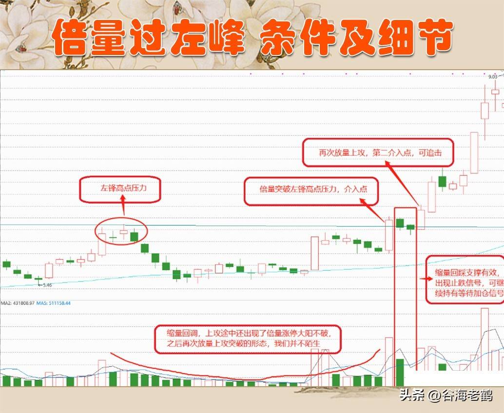 倍量过左峰，张停急先锋