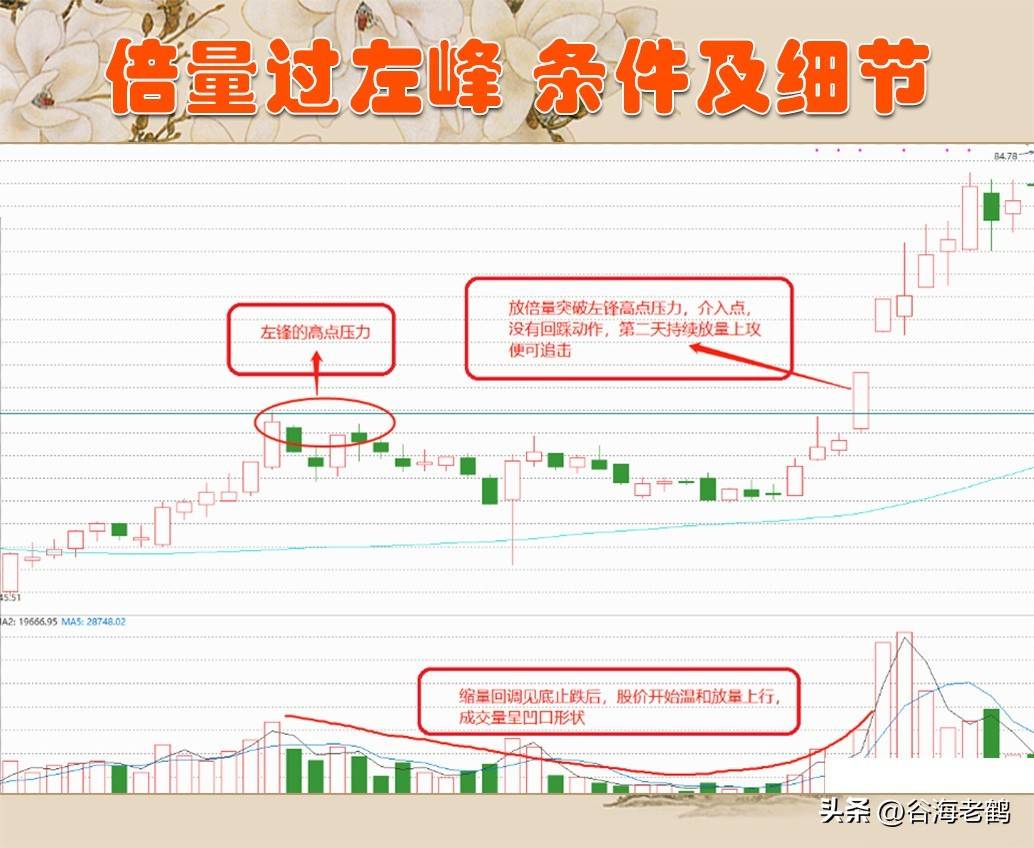 倍量过左峰，张停急先锋