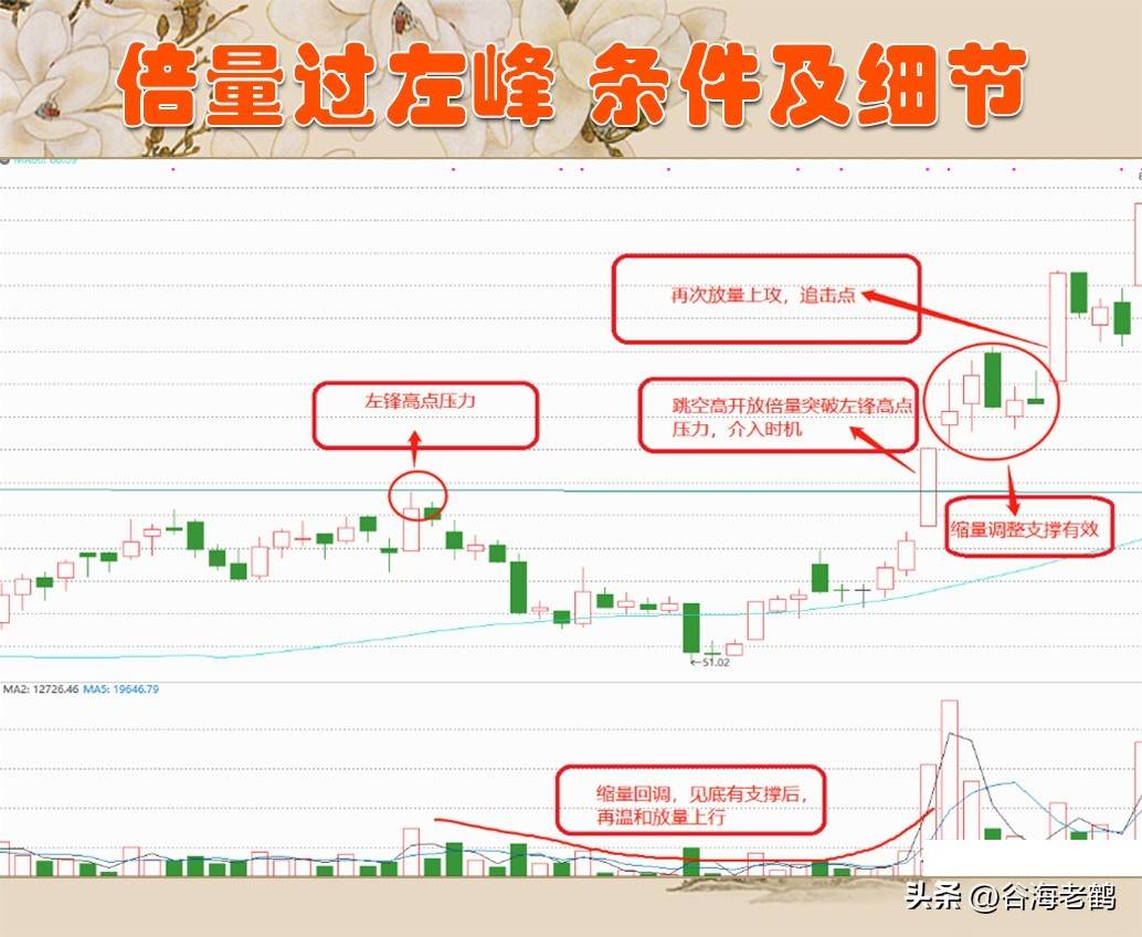 倍量过左峰，张停急先锋