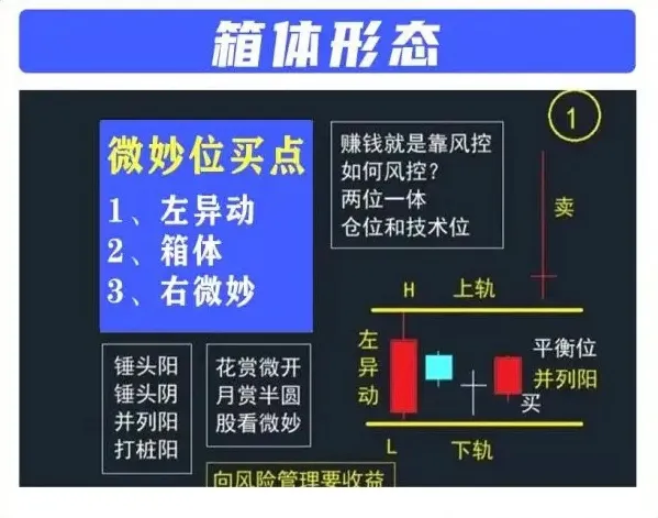 箱体形态