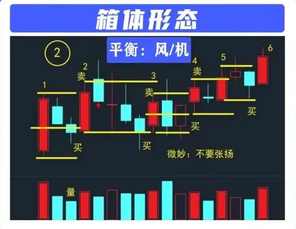 箱体形态