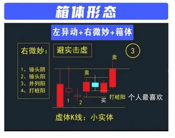 箱体形态