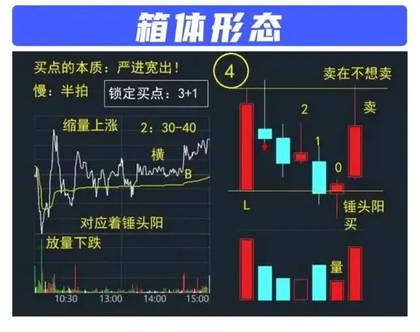 箱体形态