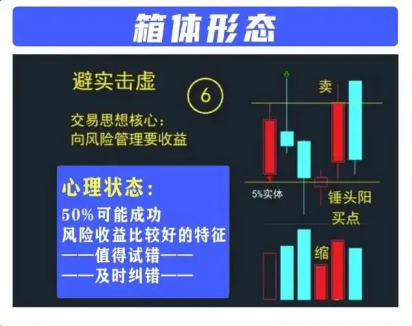 箱体形态