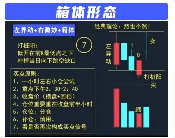 箱体形态