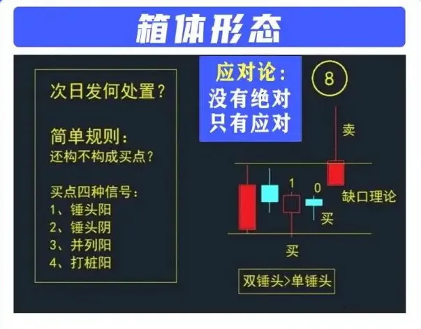 箱体形态