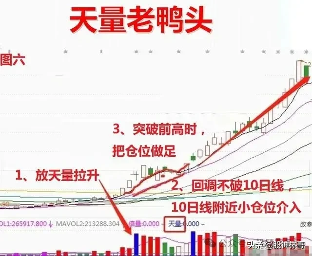 天量特征