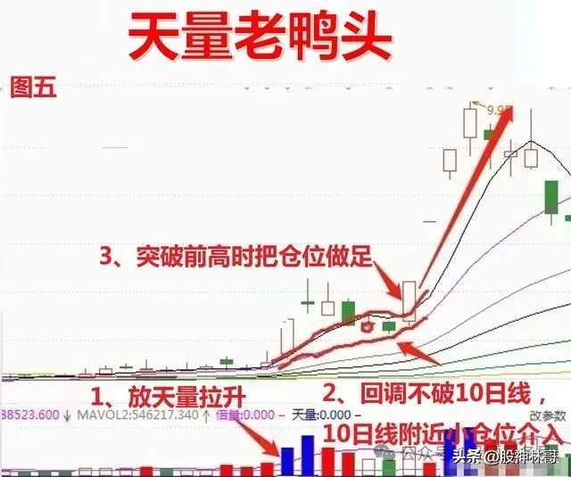 天量特征