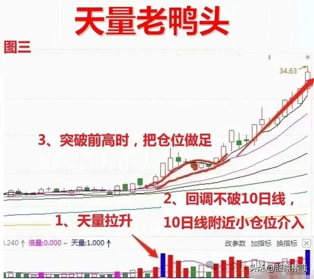 天量特征