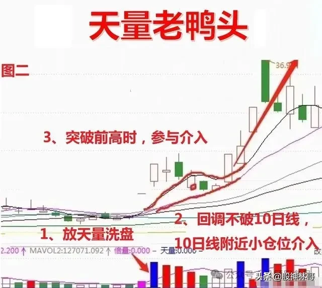 天量特征