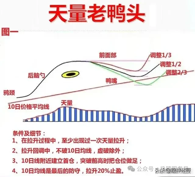 天量特征
