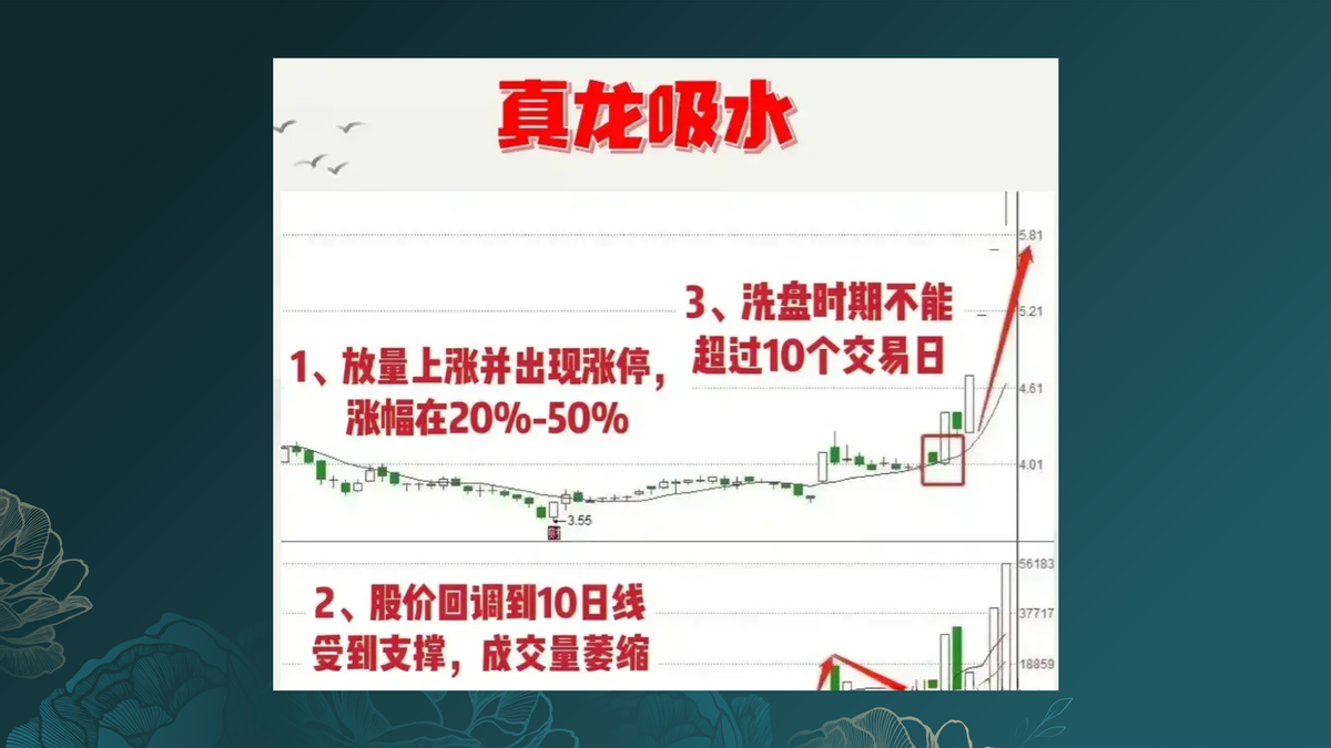 真龙吸水