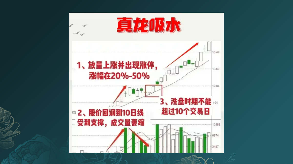 真龙吸水