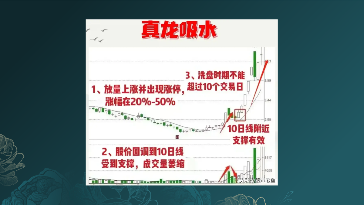 真龙吸水