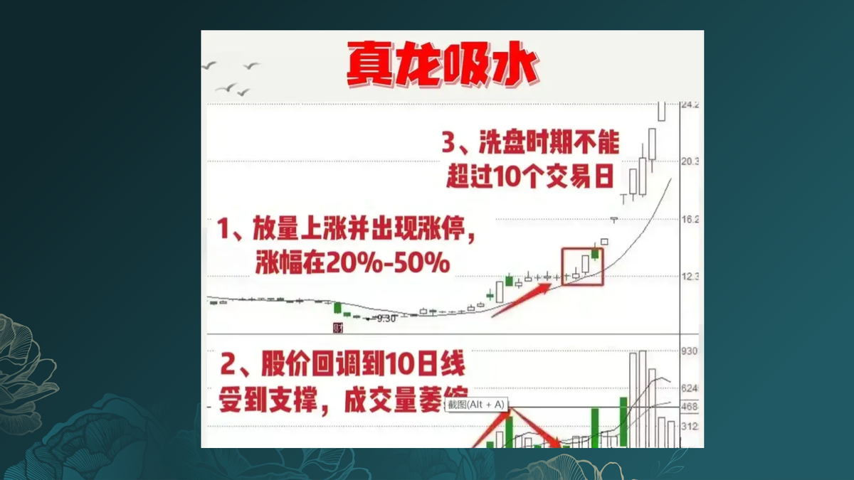 真龙吸水