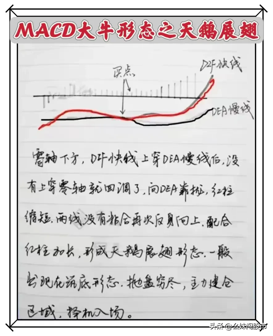 MACD大牛形态