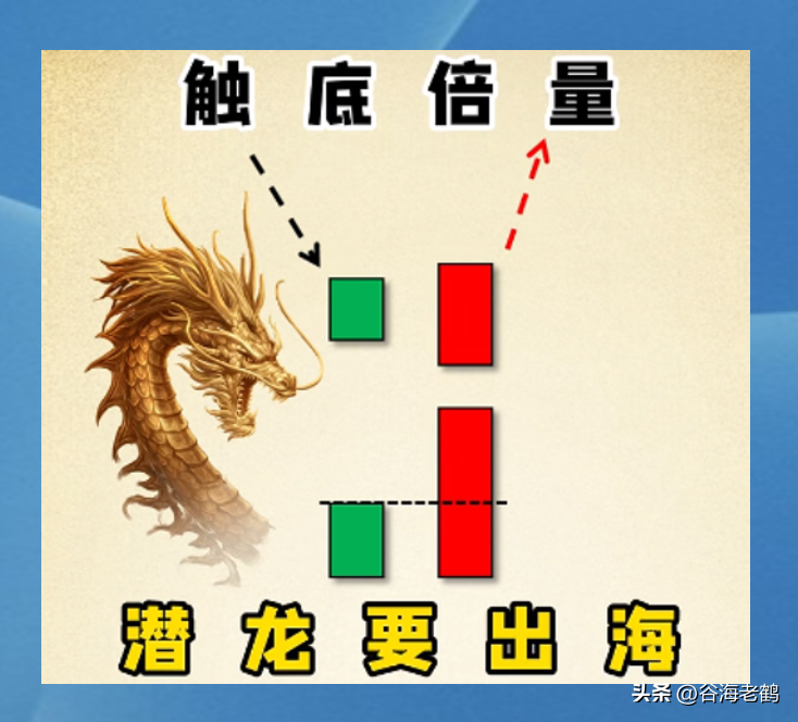 倍量