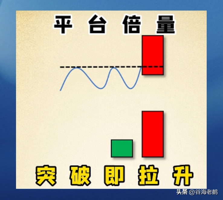 倍量