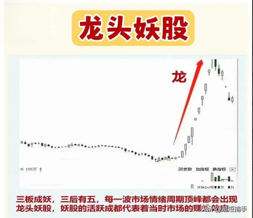 主线龙头