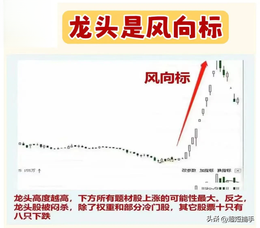 主线龙头