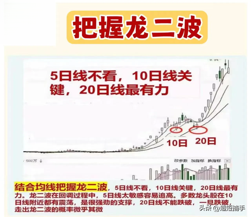 主线龙头