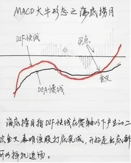 怎么看macd