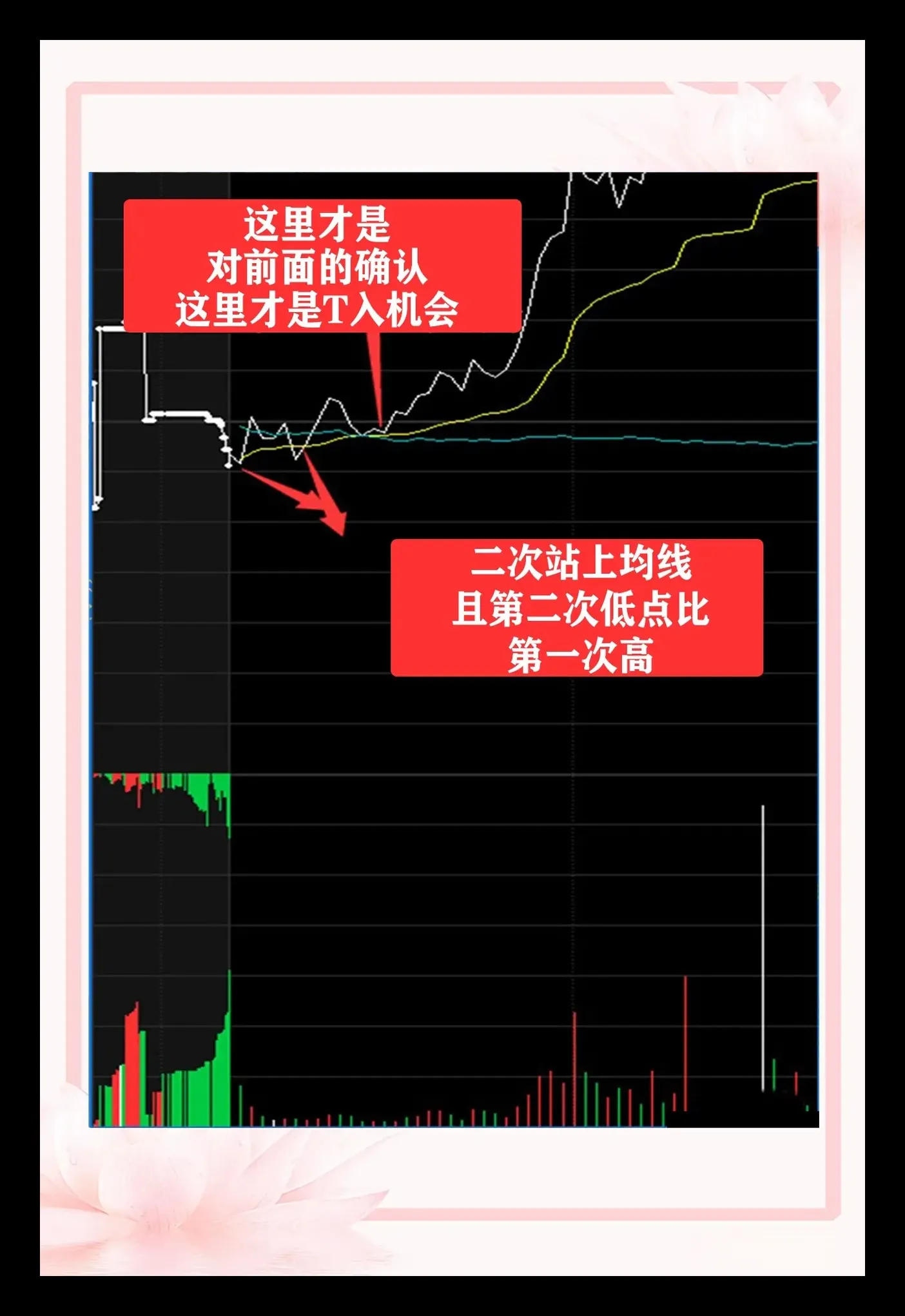 学精做T