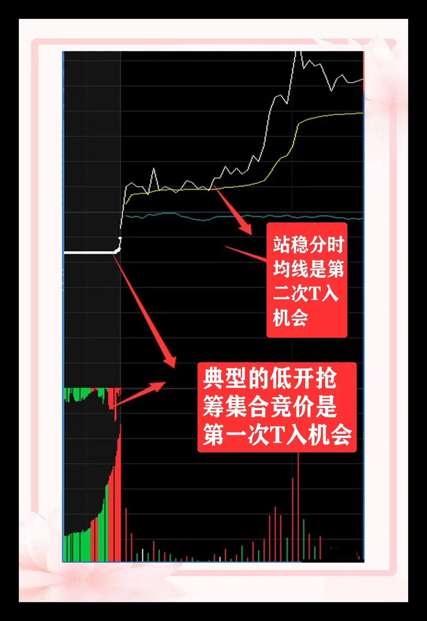学精做T
