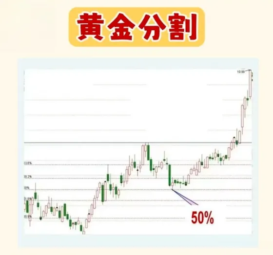 炒股，一旦悟了道，人生就像开了挂！