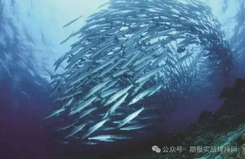 一个交易高手的肺腑之言：不要浪费一场好危机