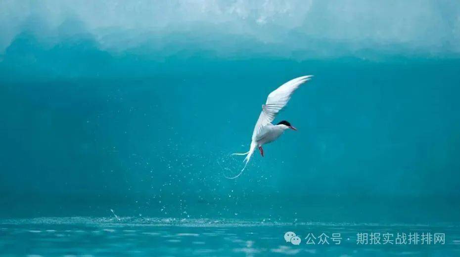 期货交易中，技术分析的灵魂法则…