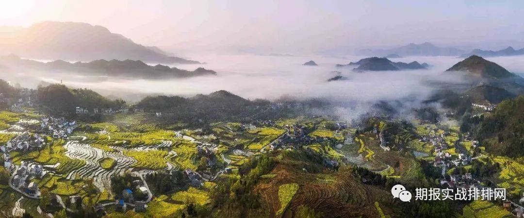 成功的交易者一定经历过凤凰涅槃般的痛苦