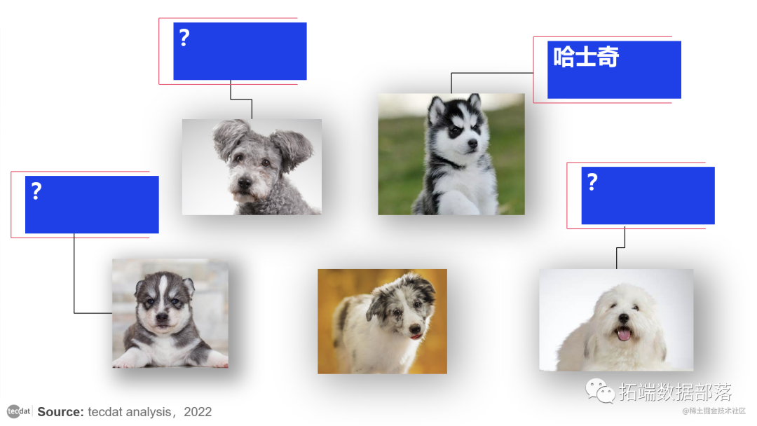 【视频】少样本图像分类？迁移学习、自监督学习理论和R语言CNN深度学习卷积神经网络实例