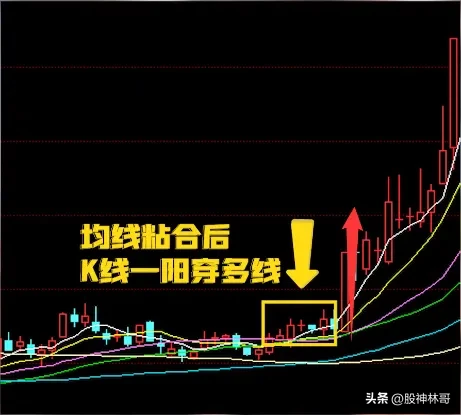投资股票的最高境界是什么