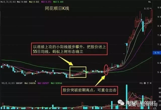 投资股票的最高境界是什么