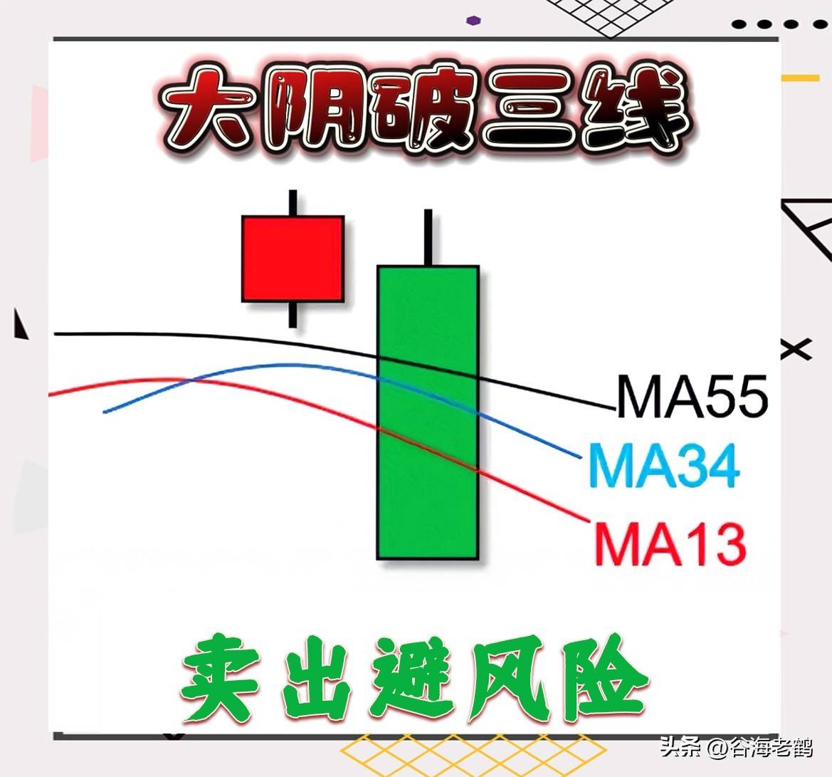 我从一个新手小白成长到现在的股市老手