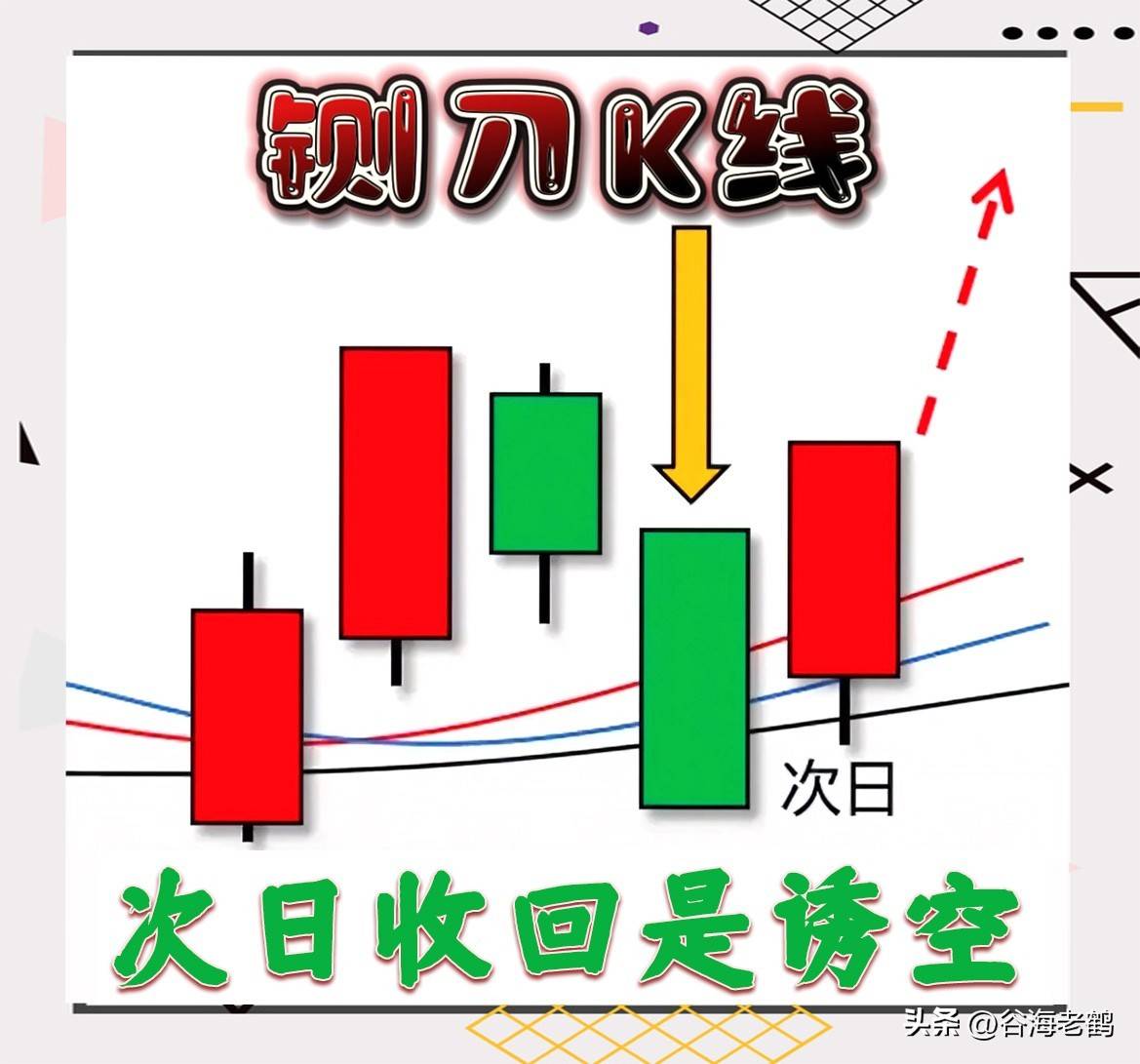 我从一个新手小白成长到现在的股市老手
