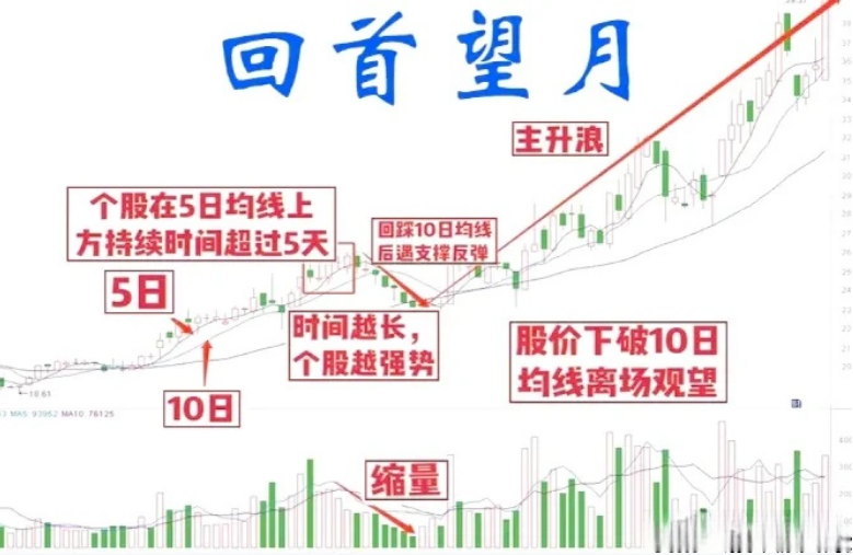 回首望月4大实操用法
